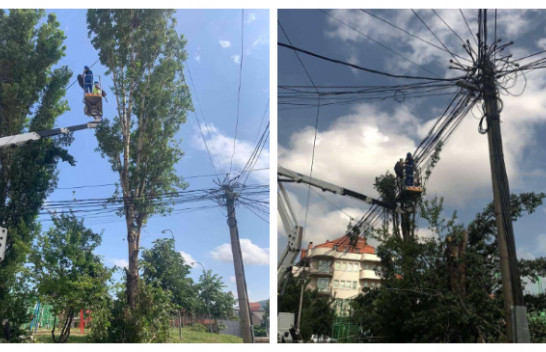 Pas tragjedisë së stuhisë, Komuna e Prishtinës eliminon dhe krasit drunjtë e dëmtuar