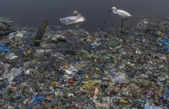 Mbetjet plastike do të trefishohen deri në vitin 2060