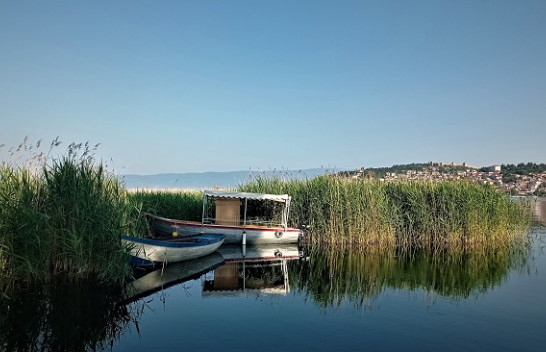Parashikimi i motit për sot e nesër në Maqedoninë e Veriut
