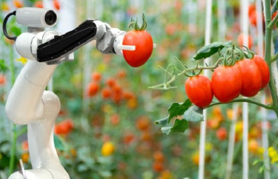 Përparimet teknologjike në fushën e robotikës