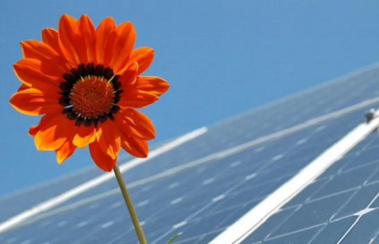 Prodhimi i energjisë së gjelbër në Maqedoninë e Veriut u rrit për 14.7% në vitin 2021