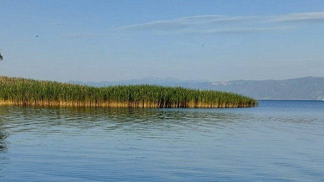 Mësoni si do të jetë moti sot dhe fundjavë në Maqedoni