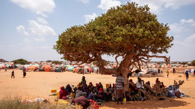 Somali, 1 milion njerëz në rrezik nga uria për shkak të thatësirës