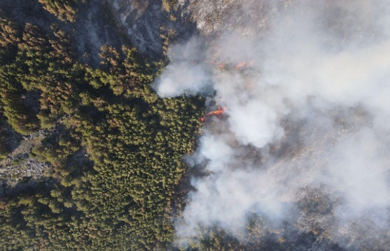 U vihet sërish zjarri pyjeve në Krastë të Krujës