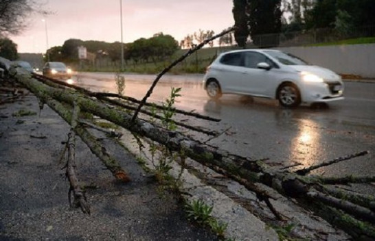 Roma goditet nga një stuhi e fortë, pemë të shkulura e makina të dëmtuara