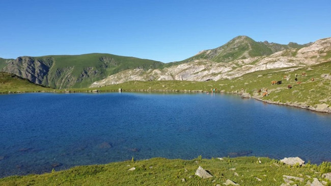 Kumbaro: Liqeni i Dashit me një peizazh piktoresk është kthyer në një destinacion turistik