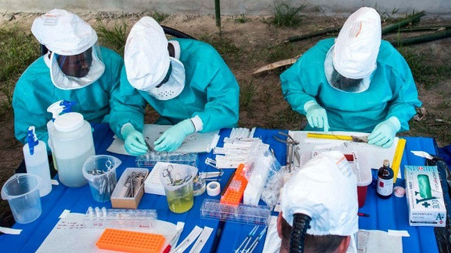 Emergjencë globale: OBSH shpall alarmin më të lartë për linë e majmunëve