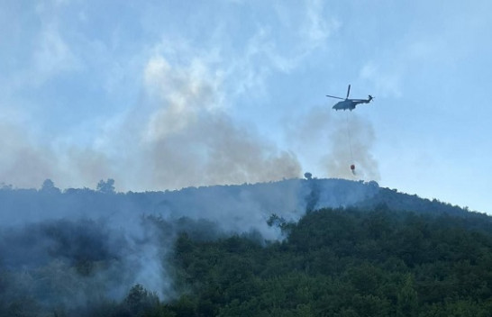 Ministria e Mbrojtjes: 6 vatra zjarri ende aktive në Shqipëri