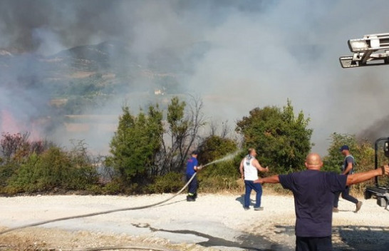Aktivizohen dy vatra të reja në Selenicë të Vlorës, flakët djegin dhjetëra ullinj