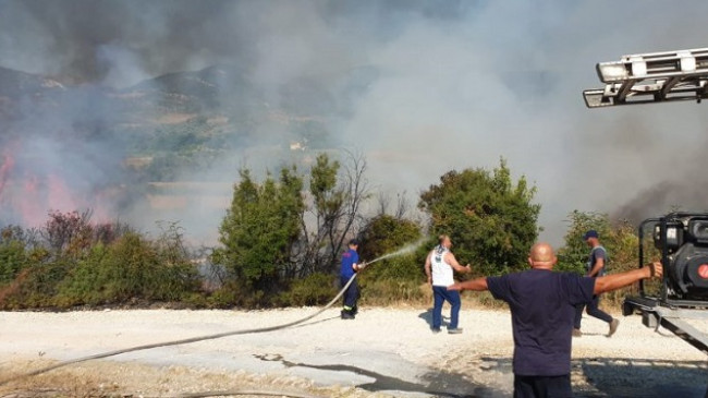 Aktivizohen dy vatra të reja në Selenicë të Vlorës, flakët djegin dhjetëra ullinj