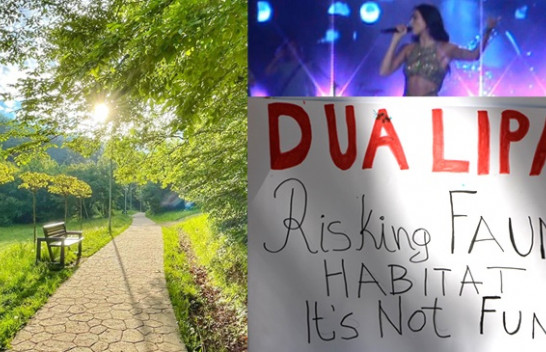 Zhurma e muzikës 'Sunny Hill' vret dhe përzë banorët e përhershëm të Gërmisë: Aktivistët kërkojnë anulimin e mbajtjes së festivalit