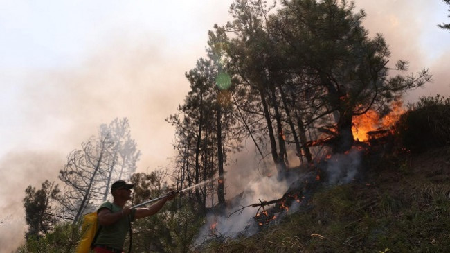 361 vatra zjarri të shuara gjatë korrikut në Shqipëri