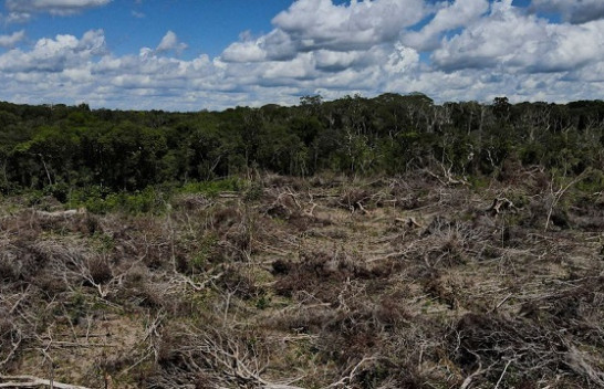 Shpyllëzimi i Amazonës së Brazilit shënon rekord në korrik