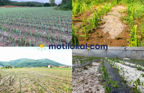 Moti ekstrem, çfarë ndikimi pritet të ketë në sektorin e bujqësisë?!