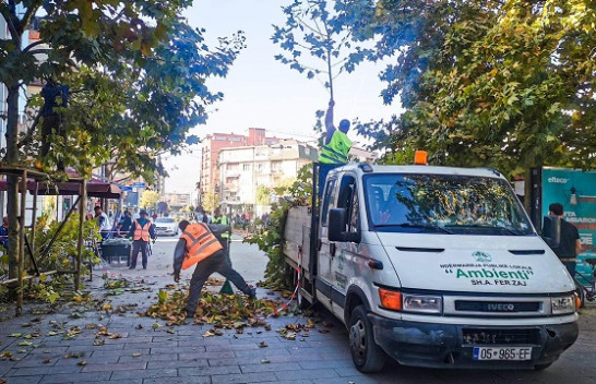 Ferizaj, krasitën drunjtë dekorativ në sheshin e qytetit