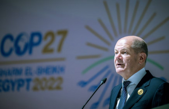 Scholz premton një miliard euro shtesë për mbrojtjen e pyjeve