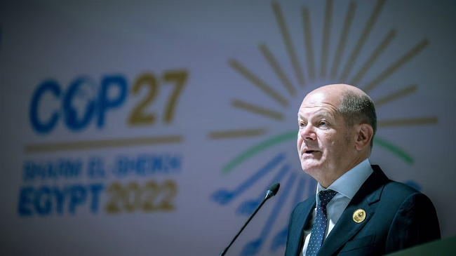 Scholz premton një miliard euro shtesë për mbrojtjen e pyjeve