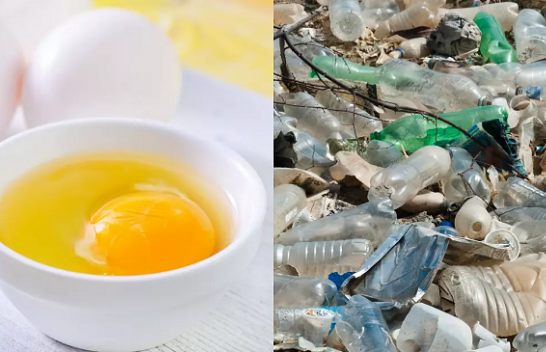 Hulumtim: Vezët mund të na ndihmojnë të luftojmë ndotjen plastike