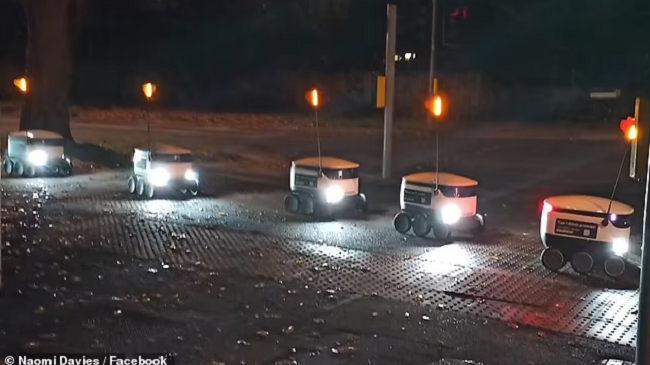 Në foto: Robotët e dërgesës qëndrojnë në radhë me durim për të përdorur vendkalimin e këmbësorëve