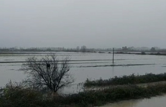 Rikthehen përmbytjet në Shqipëri