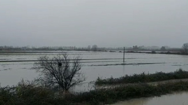 Rikthehen përmbytjet në Shqipëri