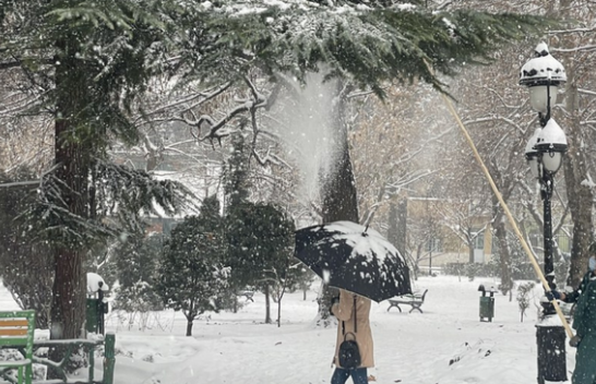 Stuhia e borës godet Iranin