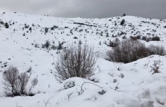 Malësia e Krujës mbulohet nga bora
