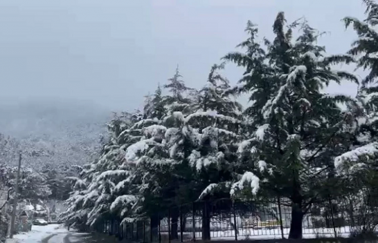 Bora zbardh zonat malore të Elbasanit