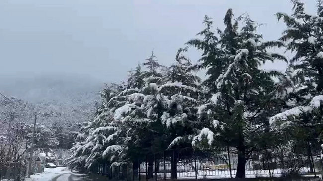 Bora zbardh zonat malore të Elbasanit
