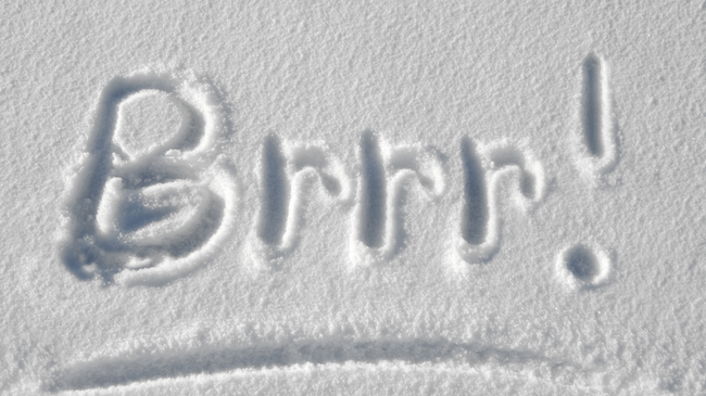 Po vjen acari polar në Kosovë