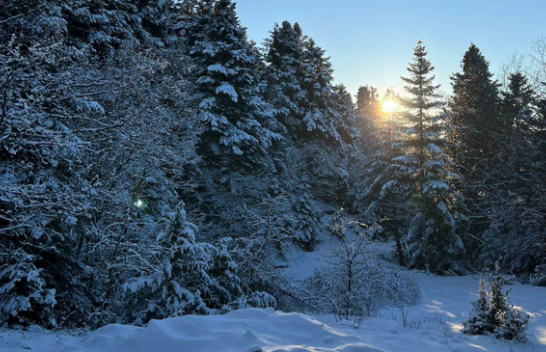 Javë me mot të qëndrueshëm, temperaturat shënojnë rritje në Shqipëri