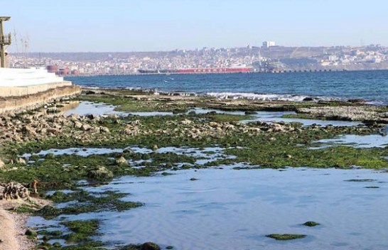 Deti Marmara pranë Stambollit tërhiqet rreth 25 metra