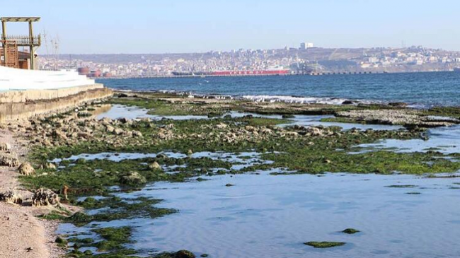 Deti Marmara pranë Stambollit tërhiqet rreth 25 metra