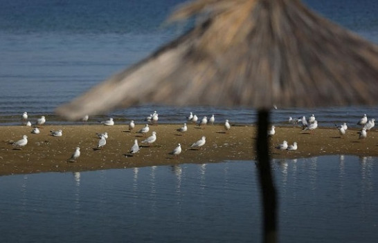 Rama: Ruajtja e bukurive natyrore dhe pastrimi përkthehen në pasuri turistike
