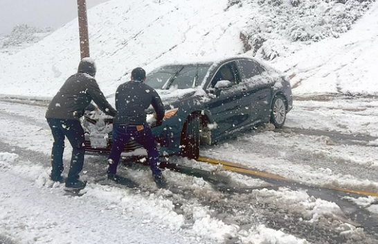 Stuhia e rrallë e dimrit bën kërdinë në Kaliforni