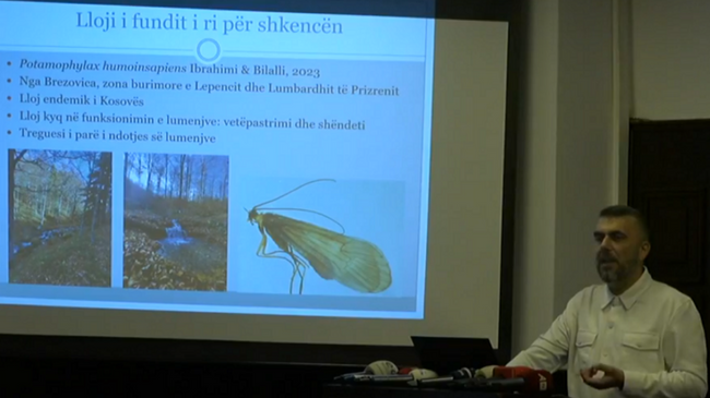 Prezantohet insekti më i ri në Kosovë