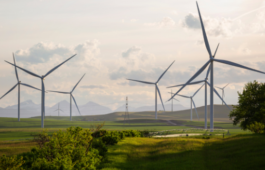 Polonia: Kufizon prodhimin e energjisë së rinovueshme për shkak të mbifurnizimit