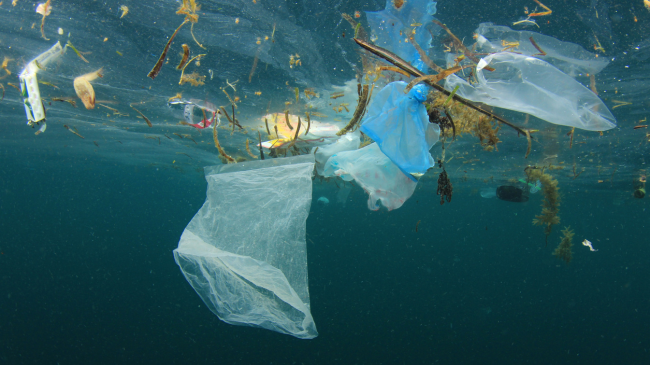 Plastika ‘pushton’ Mesdheun!