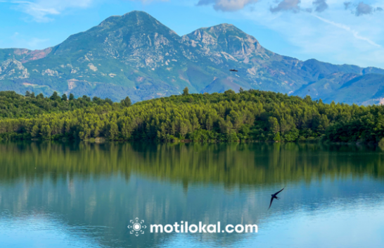 WOW! Çfarë pamje e mrekullueshme nga Fishta jonë e bukur e Shqipërisë