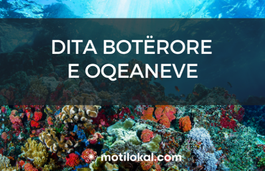 Sot Dita Botërore e Oqeaneve