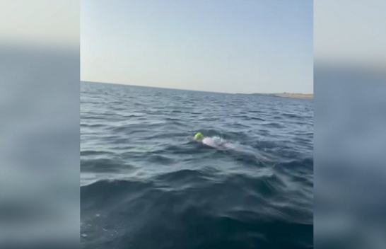 Historike, atletja shqiptare not nga Otranto për në Vlorë/ VIDEO