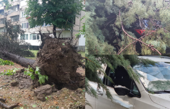 Stuhi shiu dhe erërat e forta shkaktuan dëme në Shkup/ FOTO