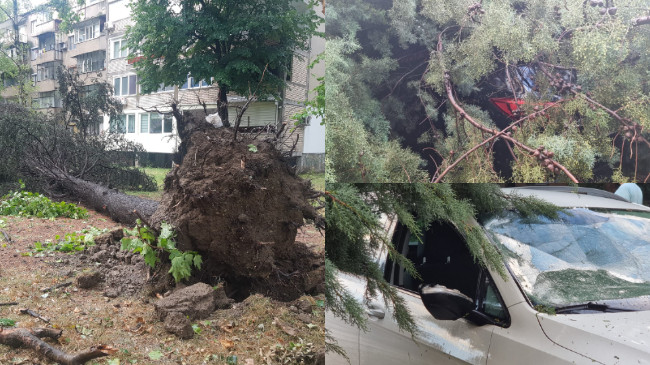 Stuhi shiu dhe erërat e forta shkaktuan dëme në Shkup/ FOTO