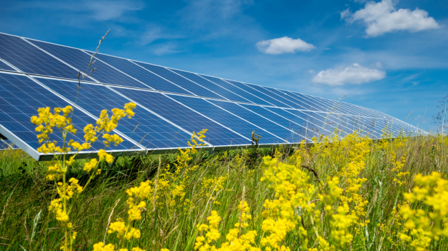 Energjia e rinovueshme mund të ndihmojë në pastrimin e ujit dhe mjedisit