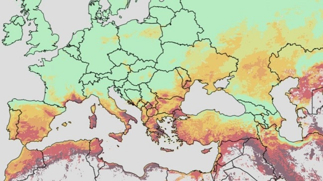 Kosova në listën e vendeve me rrezik ekstrem për zjarre pyjore