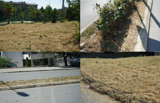 Thahen lulet dhe bari në Prishtinë/ FOTO+VIDEO