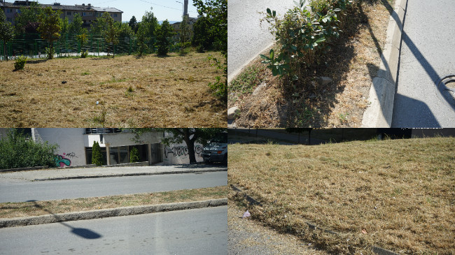 Thahen lulet dhe bari në Prishtinë/ FOTO+VIDEO