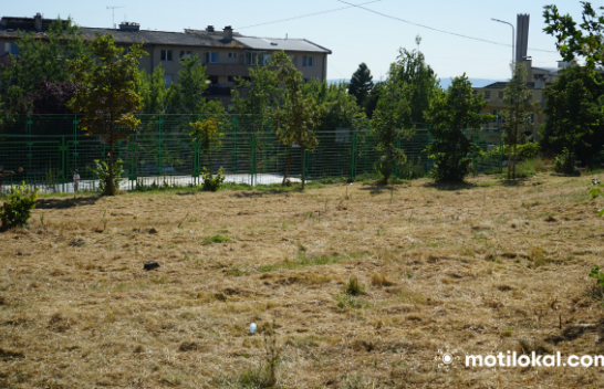 Prishtina po i ngjan ‘shkretëtirës’, lulet dhe bari në pritje të shiut