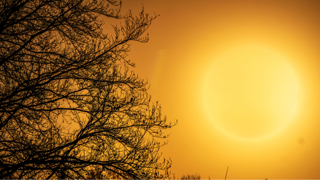 Temperatura rekord dhe mot ekstrem. ja çfarë thonë shkencëtarët