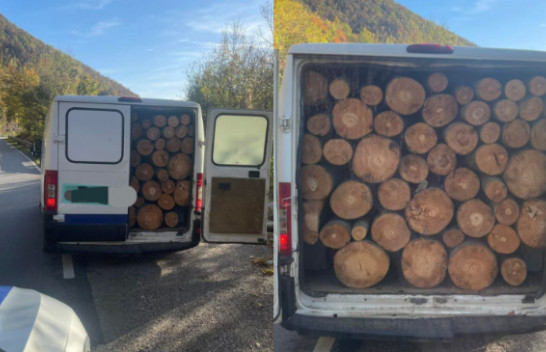 Policia konfiskon një automjet që transportonte drunj të prerë ilegalisht